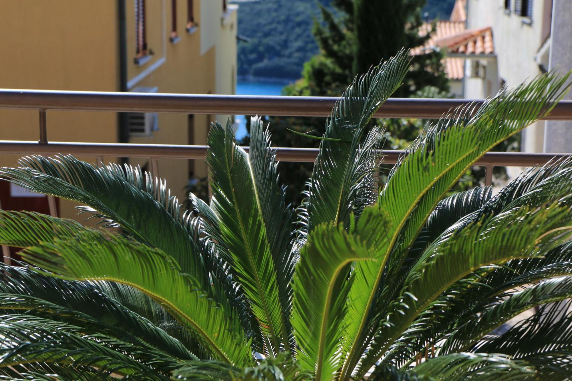 Apartments With A Parking Space Rabac, Labin - 7429 Екстер'єр фото